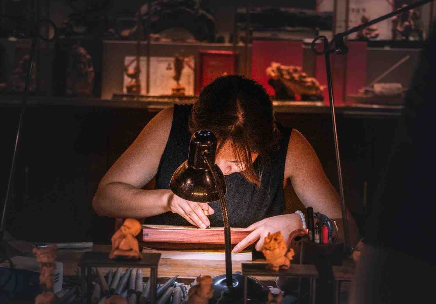 Skill In Demand Visa